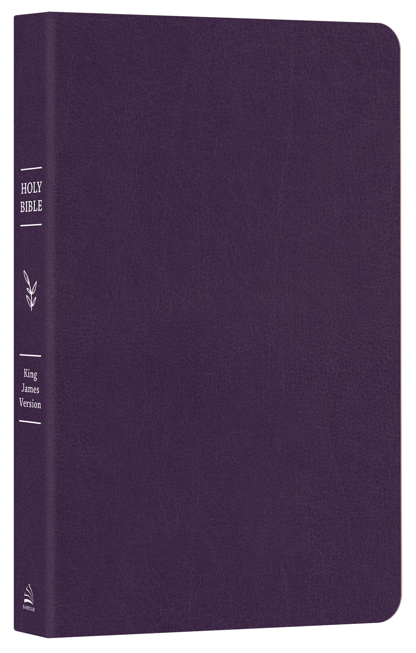 The Go-Anywhere KJV Bible for Young Women [Plum Patch]